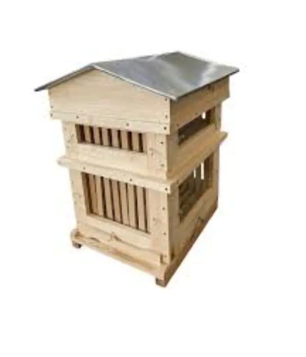 Observation hives